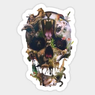 Kingdom Skull Sticker